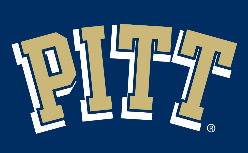 Pittsburgh Panthers 1997-2015 Wordmark Logo t shirts iron on transfers